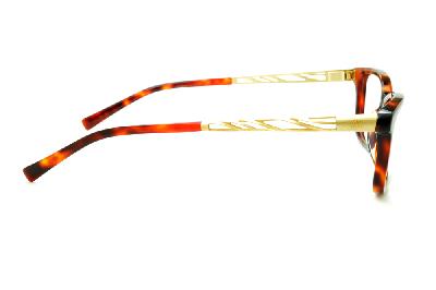 Óculos Ana Hickmann AH 6220 demi tartaruga efeito onça com haste dourada