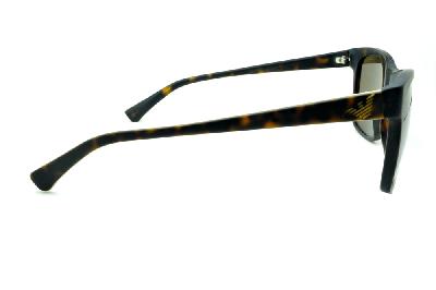 Óculos de sol Emporio Armani acetato demi tartaruga efeito onça para homens e mulheres